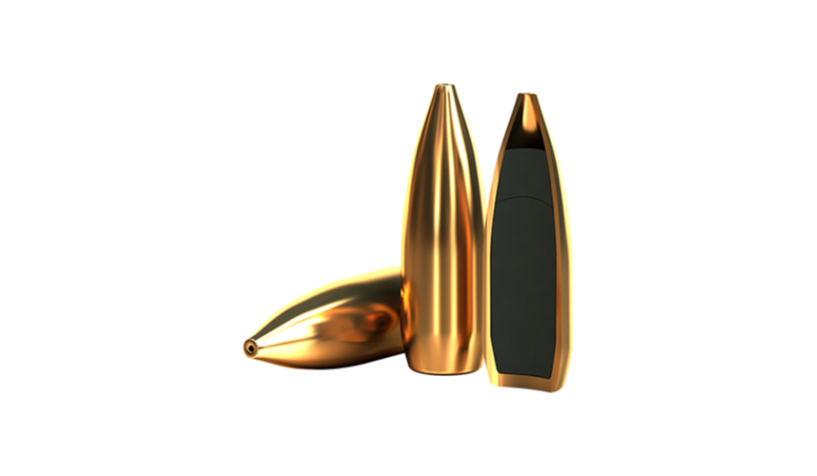 RIFLE AMMUNITION TARGET (MATCH)