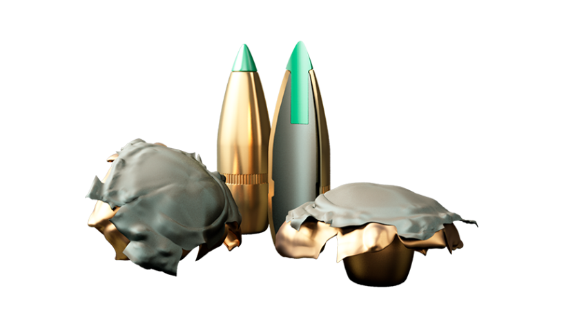 Hunting rifle ammunition with PTS bullets